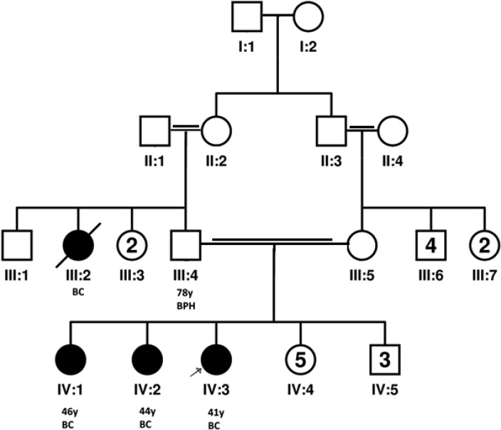 Fig.1: