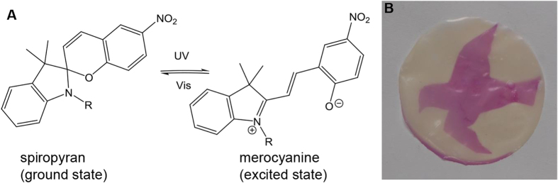 Figure 4.