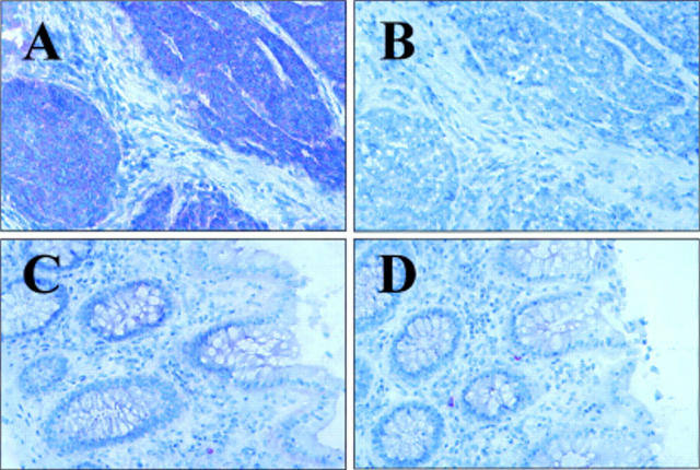 Figure 3  