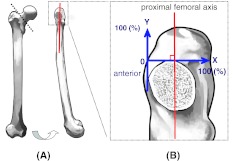 Fig. 3A–B