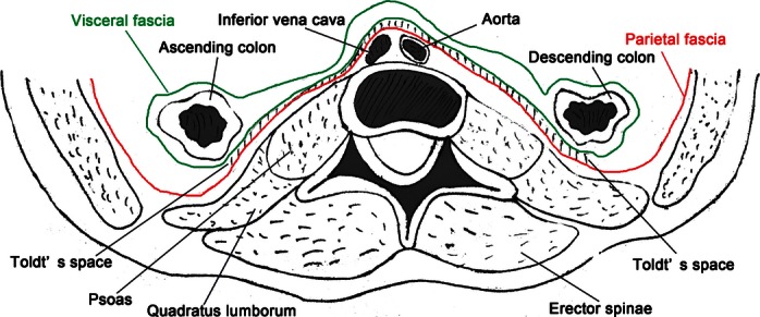 Fig. 17