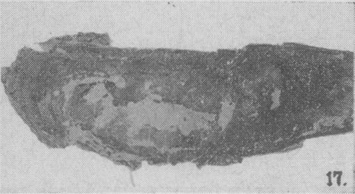 Fig. 17