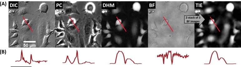 Fig. (4)