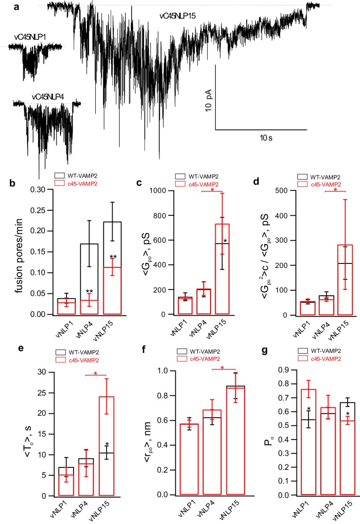 Figure 5—figure supplement 2.