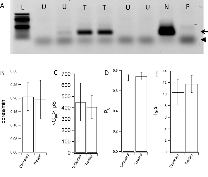 Figure 4—figure supplement 3.