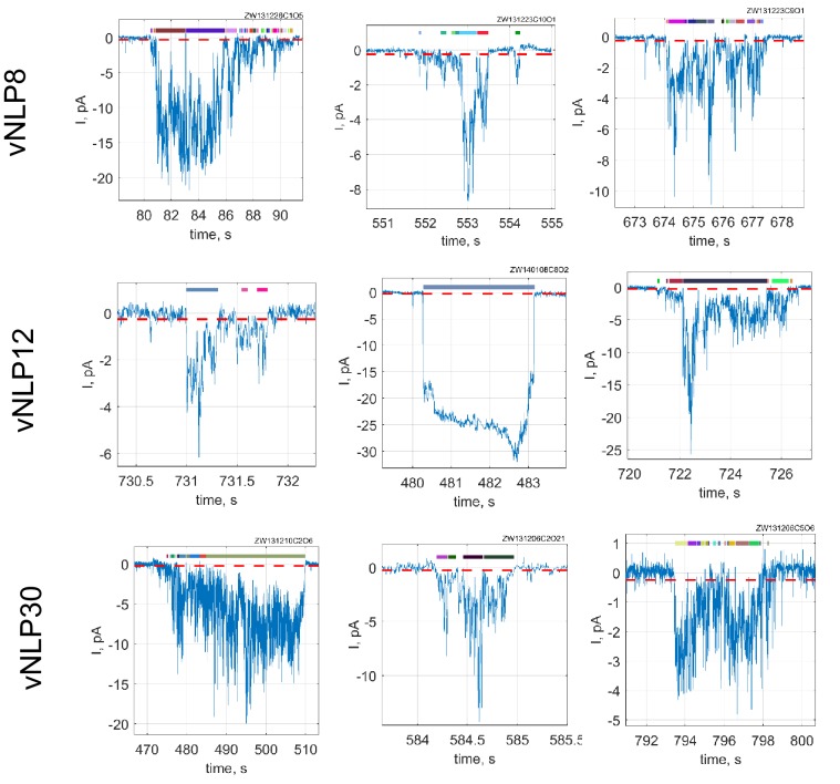 Figure 4—figure supplement 2.