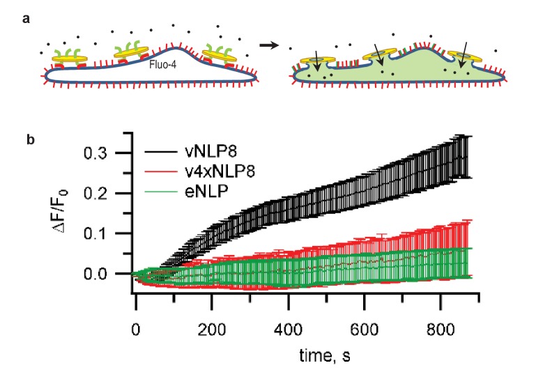 Figure 3.