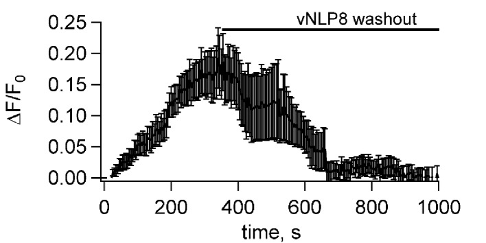 Figure 3—figure supplement 1.