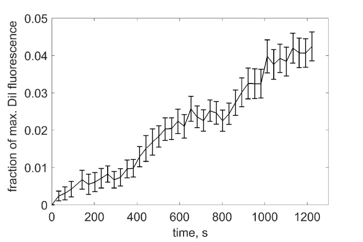 Figure 2—figure supplement 1.