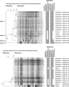 FIG 2