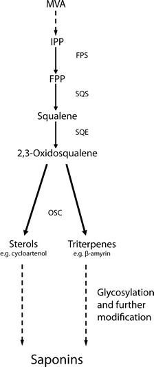 Fig. 28.2