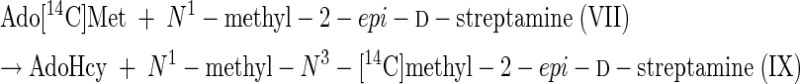 graphic file with name M7.gif