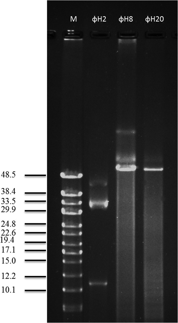 FIG 2