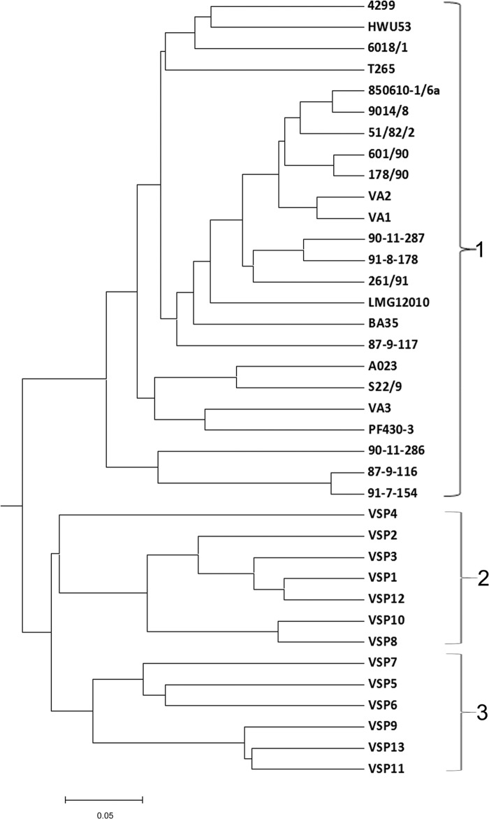 FIG 1