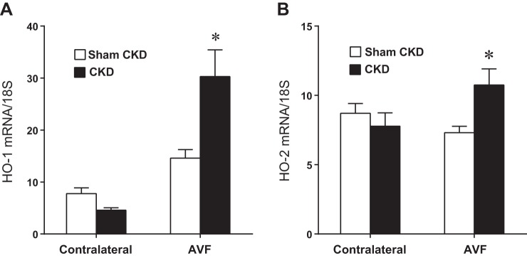 Fig. 9.