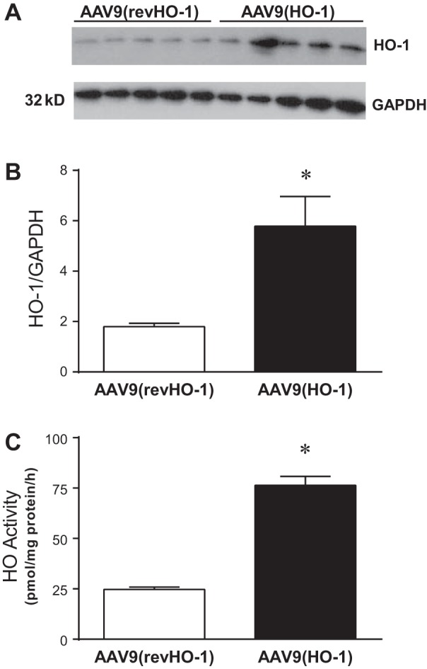 Fig. 10.