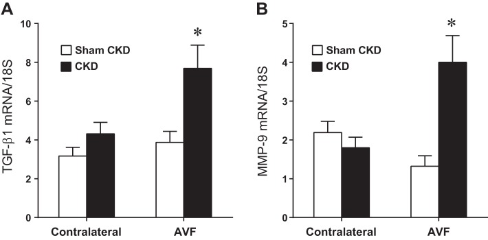 Fig. 6.