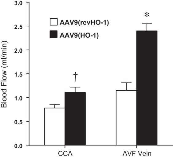 Fig. 11.