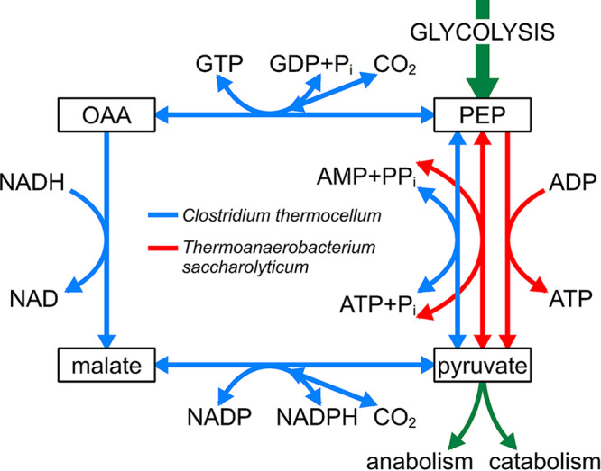 FIG 2