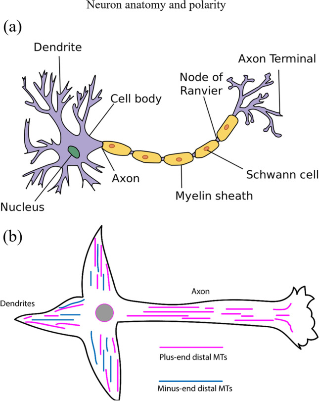 Fig. 19