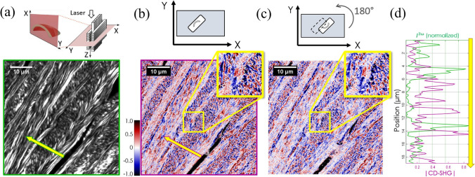 Fig. 9