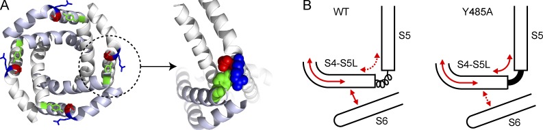 Figure 6.