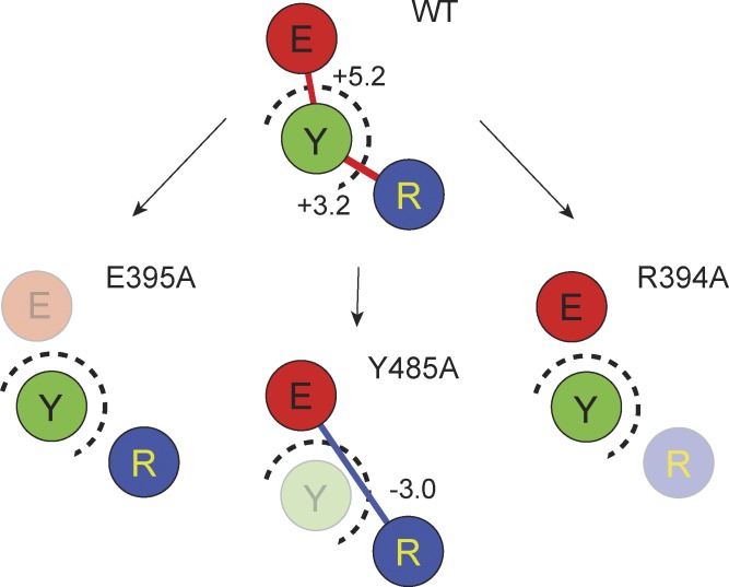 Figure 5.