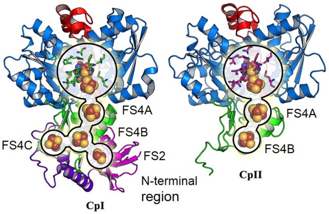 FIGURE 2