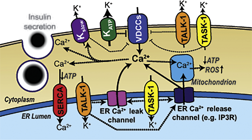 Figure 3: