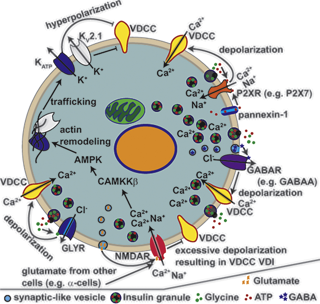 Figure 4: