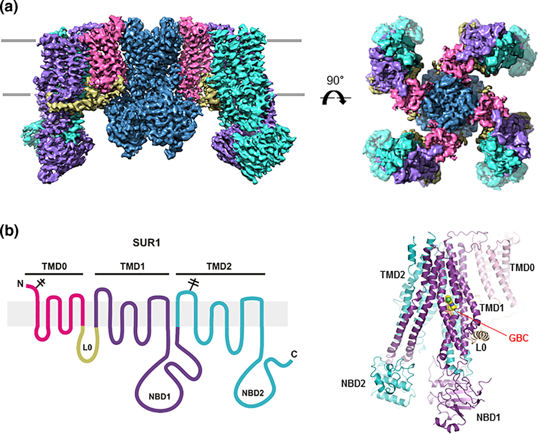 Figure 2: