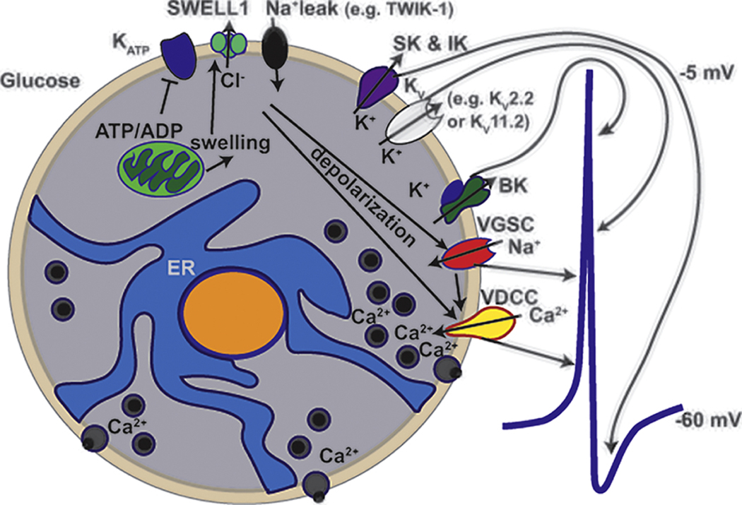 Figure 1: