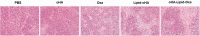 Figure 9.