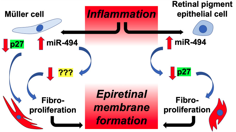 Figure 5