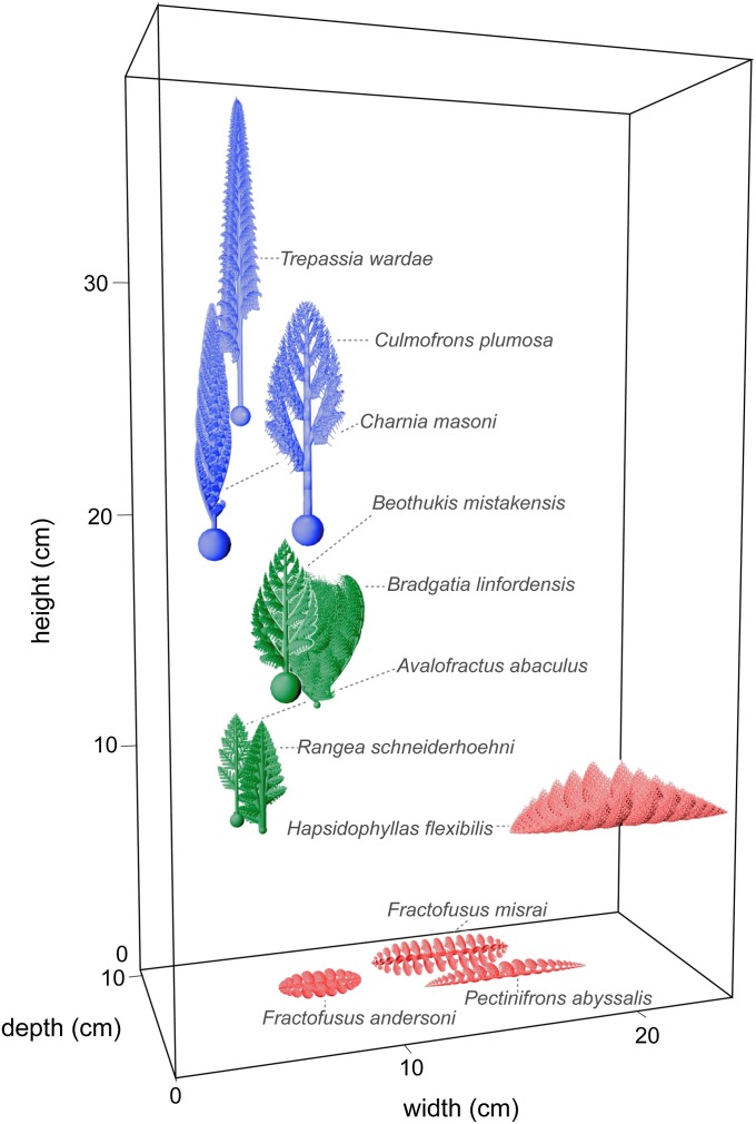 Fig. 3.