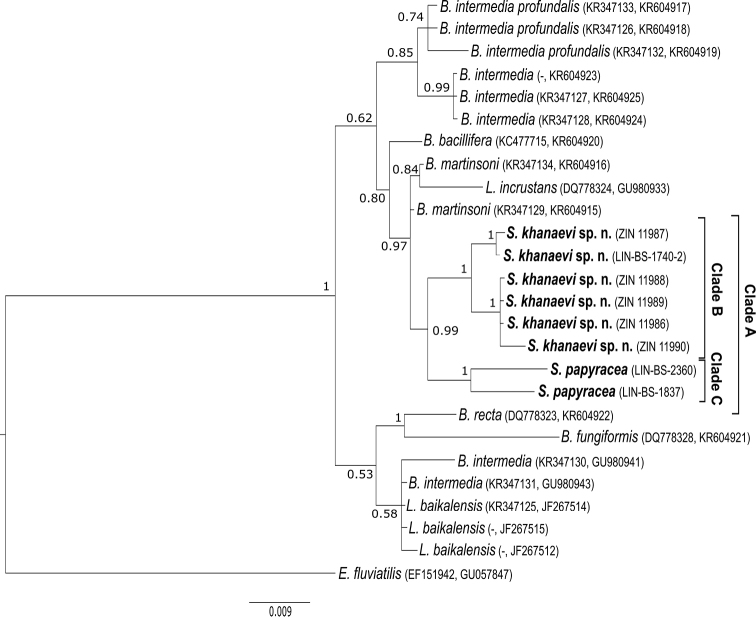 Figure 2.