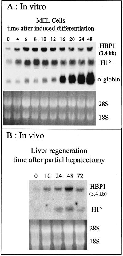 FIG. 6