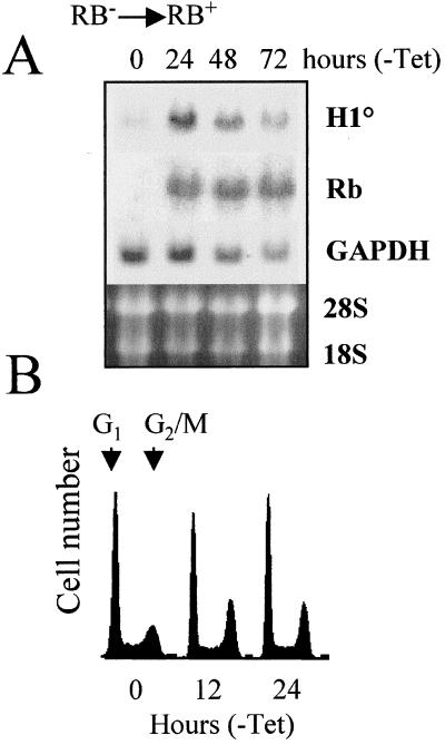 FIG. 7