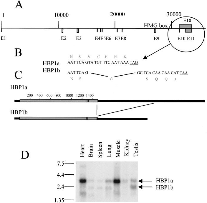 FIG. 5