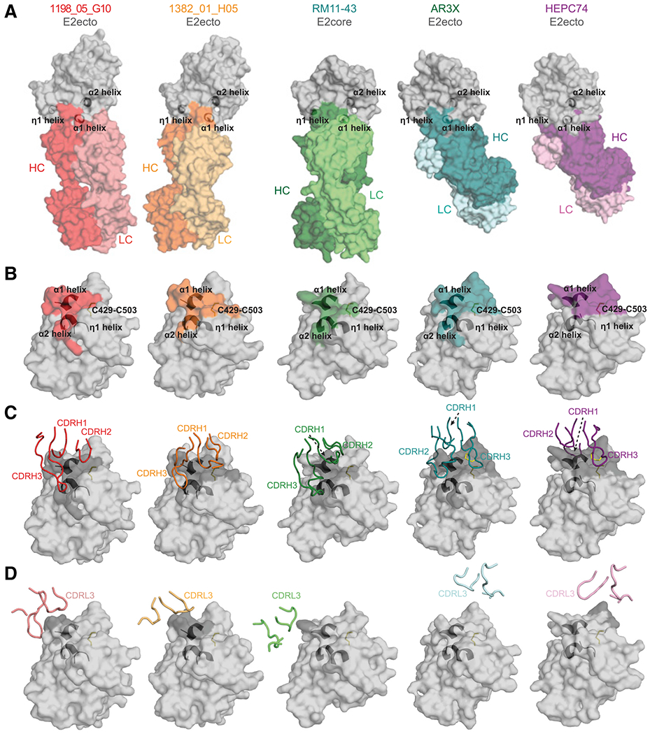 Figure 5.