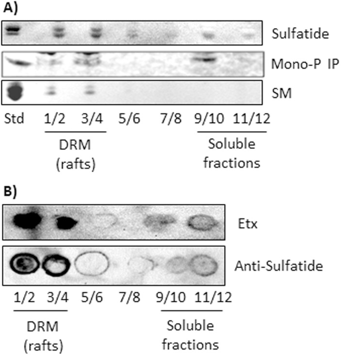 Fig 4