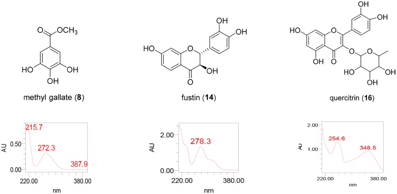 Fig 6