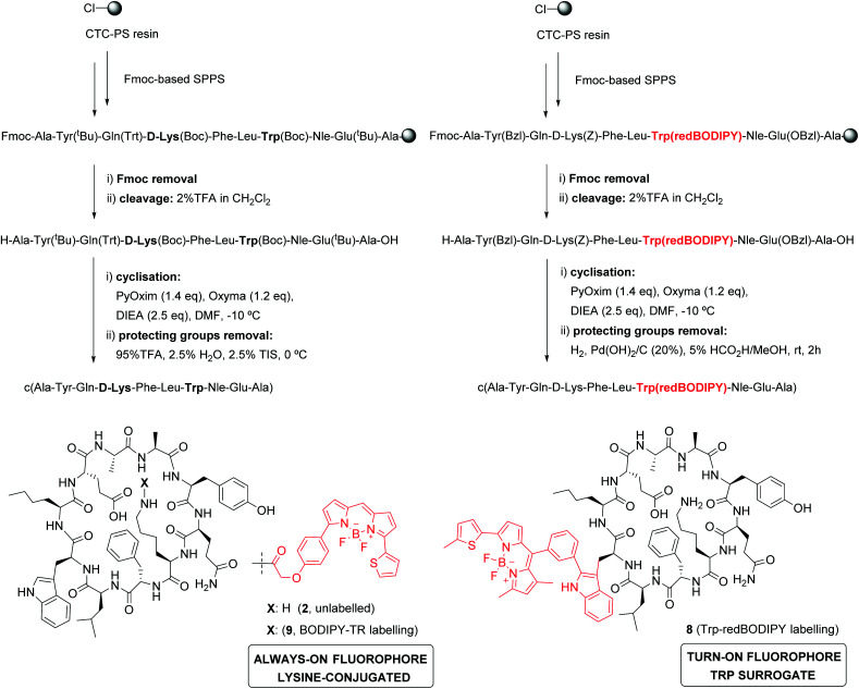 Scheme 2