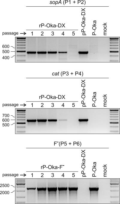 FIG. 4.