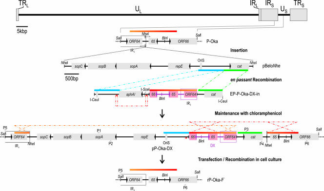 FIG. 2.