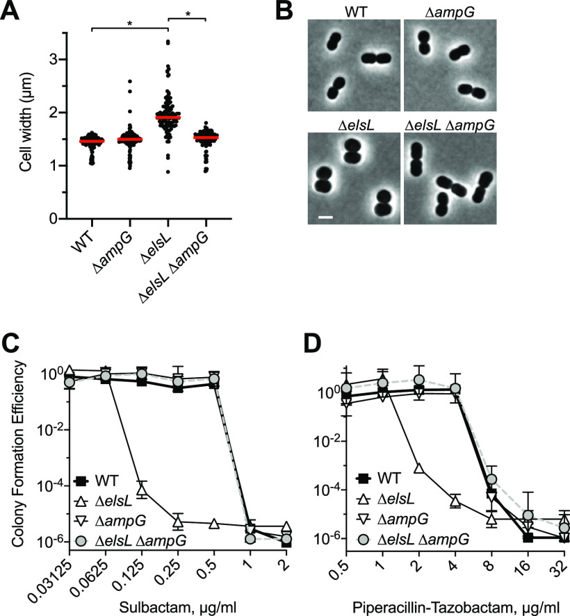 FIG 6