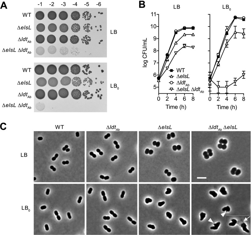 FIG 4