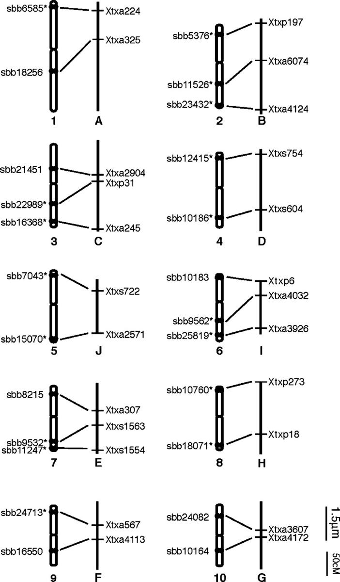 Figure 2.—