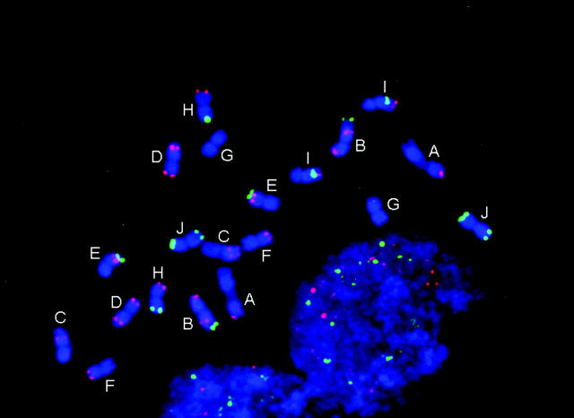 Figure 1.—