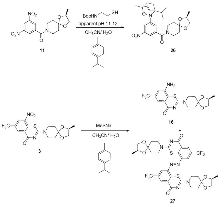 Scheme 6